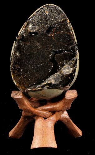 Septarian Dragon Egg Geode - Black Crystals #37293